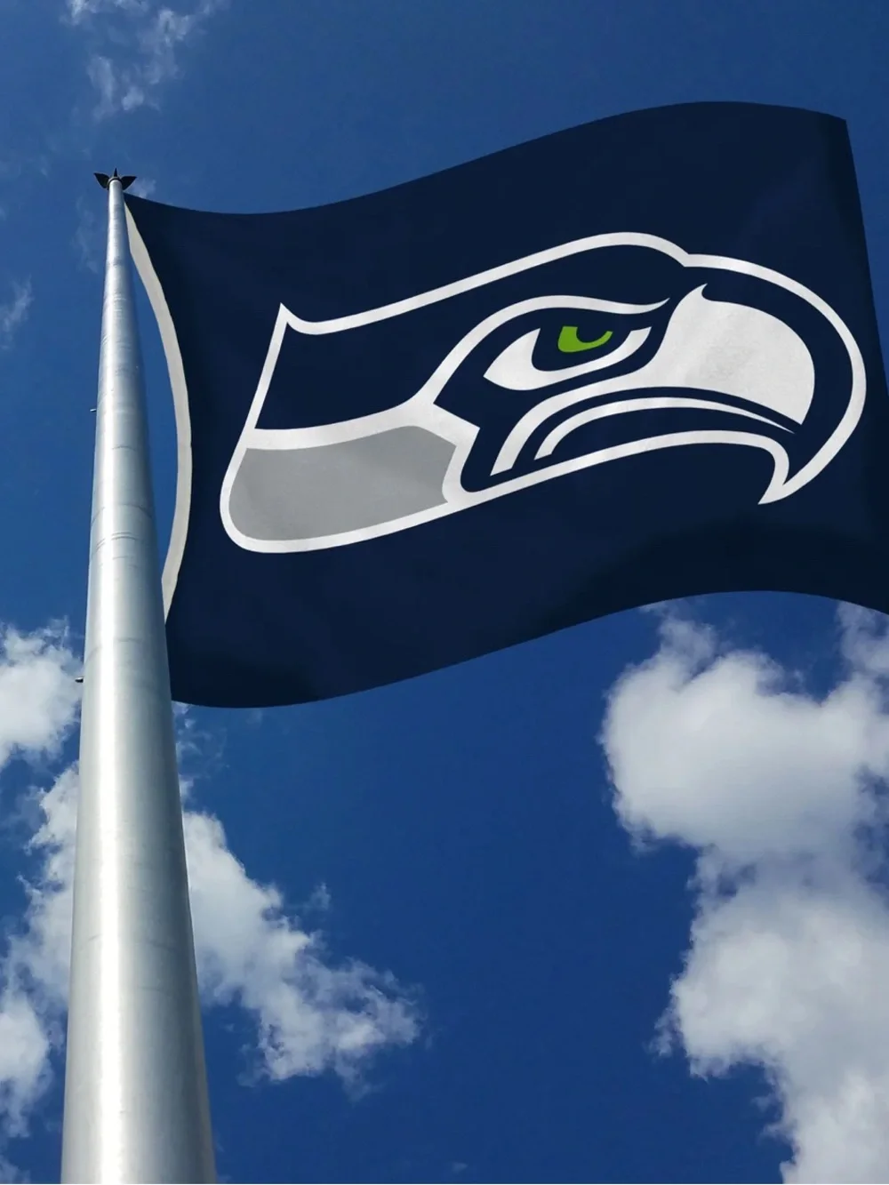 Seattle Seahawks Navy Blue Decorative Throw with Team Logo
